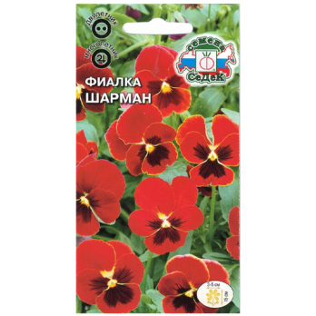 Фиалка Шарман рогатая /Седек/