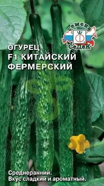 Огурец Китайский фермерский F1 /Седек/