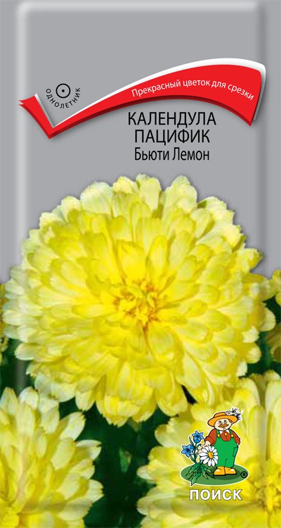 Календула пацифик Бьюти Лемон (1 г) /Поиск/