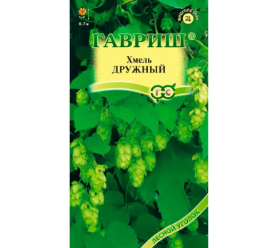 Хмель обыкновенный Дружный /Гавриш/