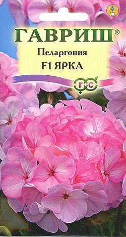 Пеларгония зональная Ярка F1 /Гавриш/