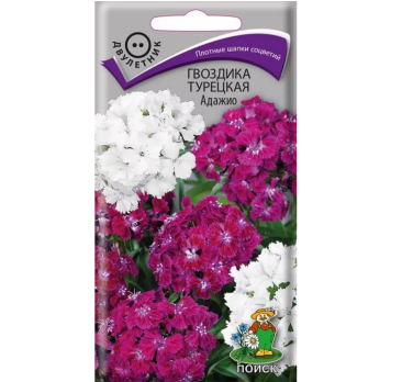 Гвоздика Турецкая Адажио /Поиск/