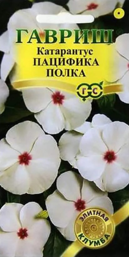 Катарантус Пацифика Полка /Гавриш/