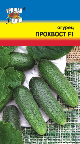 Огурец Прохвост F1 /Урожай удачи/
