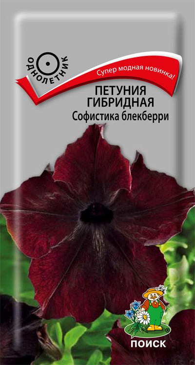 Петуния гибридная Софистика блекберри (5 шт) /Поиск/