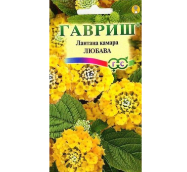 Лантана Камара Любава /Гавриш/