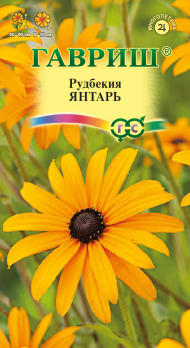 Рудбекия Янтарь /Гавриш/