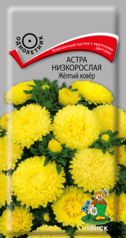 Астра низкорослая Желтый ковер (0,2 г) /Поиск/