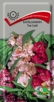 Бальзамин Том Самб (0,1 г) /Поиск/