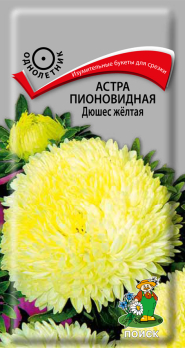 Астра пионовидная Дюшес желтая /Поиск/