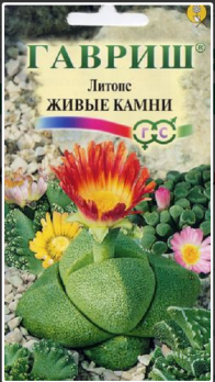 Литопс Живые камни /Гавриш/