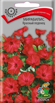 Мирабилис Красный леденец (1 г) /Поиск/