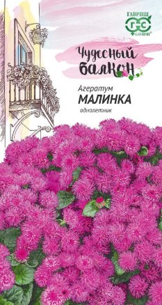 Агератум Малинка 0,05г /Гавриш/ Серия Чудесный балкон
