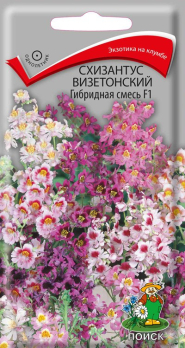 Схизантус Визетонский Гибридная смесь (0,06 г) /Поиск/