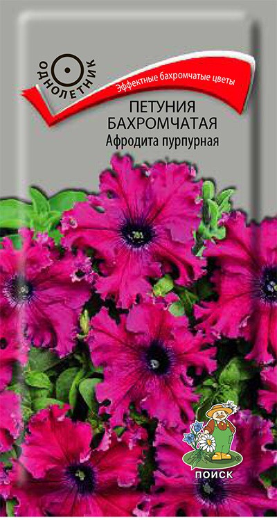Петуния бахромчатая Афродита пурпурная (10 шт) /Поиск/