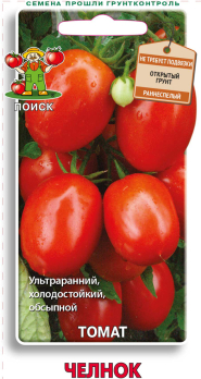 Томат Челнок /Поиск/