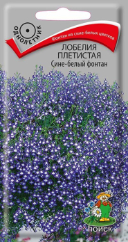 Лобелия плетистая Сине-белый фонтан (0,1 г) /Поиск/