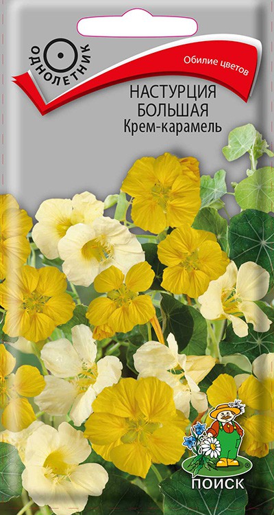Настурция большая Крем-карамель (1 г) /Поиск/