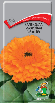 Календула махровая Гейша Гёл /Поиск/