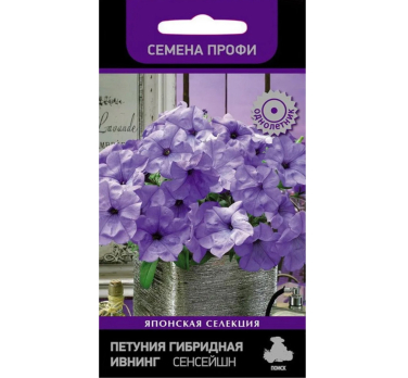 Петуния гибридная Ивнинг Сенсейшн /Поиск/