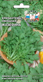 Хризантема овощная Жозефина /Седек/