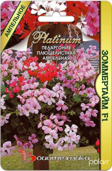 Пеларгония ампельная плющелистная Зоммертайм F1 (5шт) /Биотехника/