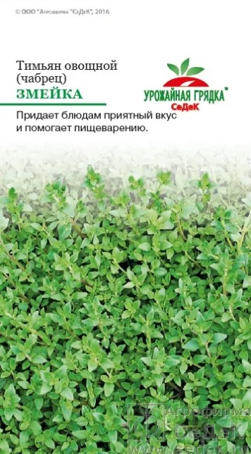 Тимьян овощной Змейка (Чабрец,Богородская трава)  /Седек/