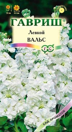 Левкой Вальс /Гавриш/ Сад ароматов
