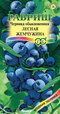 Черника обыкновенная Лесная жемчужина /Гавриш/