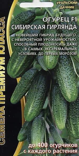 Огурец Сибирская гирлянда F1 /Уральский дачник/