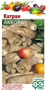 Катран (хрен) Аккорд /Гавриш/