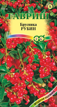 Брусника Рубин /Гавриш/