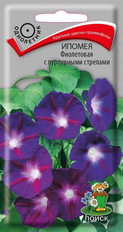 Ипомея Фиолетовая с пурпурными стрелами (0,5 г) /Поиск/