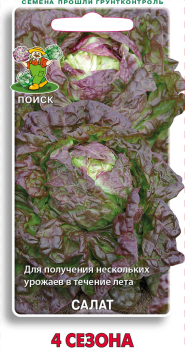 Салат 4 сезона (1г) /Поиск/