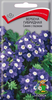 Вербена гибридная Синяя с глазком /Поиск/
