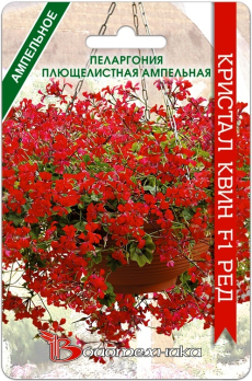Пеларгония ампельная плющелистная Кристал Квин Ред F1 /Биотехника/