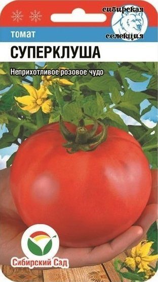 Томат Суперклуша /Сибирский сад/