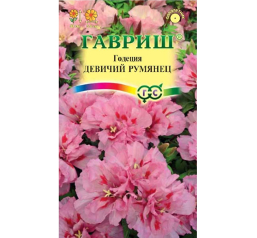 Годеция Девичий румянец махровая /Гавриш/