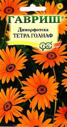 Диморфотека Тетра Голиаф /Гавриш/