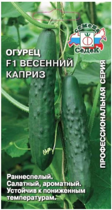 Огурец Весенний каприз F1 /Седек/