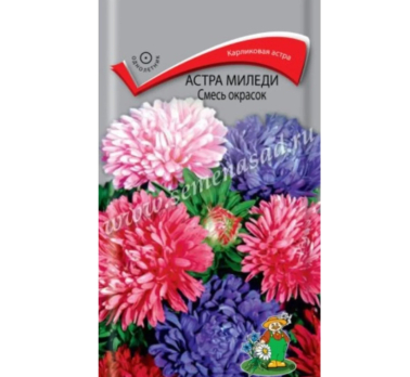 Астра Миледи смесь окрасок (0,1 г) /Поиск/