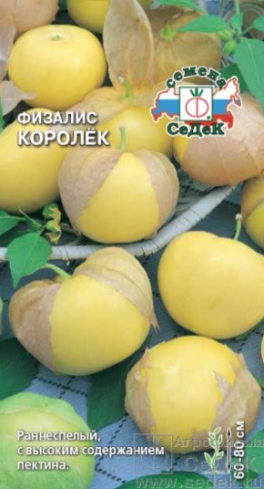 Физалис Королек /Седек/