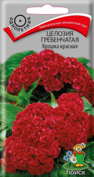 Целозия гребенчатая Крошка красная (0,1г) /Поиск/