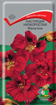 Настурция низкорослая Махагони (1 г) /Поиск/