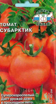 Томат Субарктик /Седек/