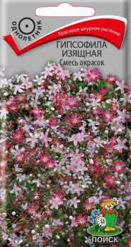 Гипсофила Изящная смесь окрасок (0,2 г) /Поиск/