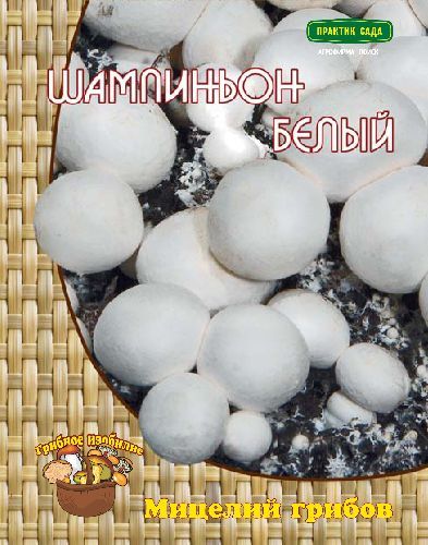 Шампиньон белый (60 мл.) /Поиск/