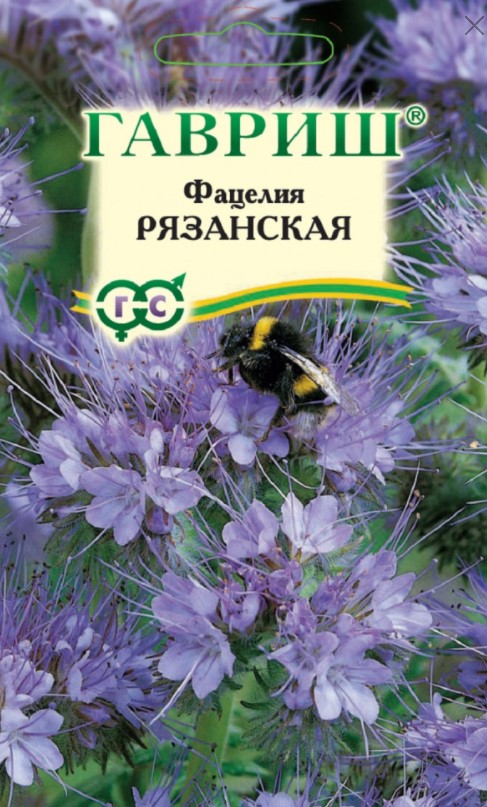 Фацелия Рязанская 20г /Гавриш/