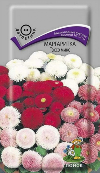 Маргаритка Тассо микс /Поиск/