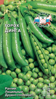 Горох Динга /Седек/
